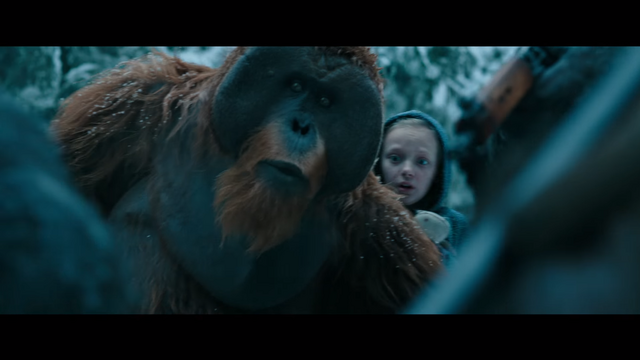 File:WPOTA Maurice & Nova 2.png