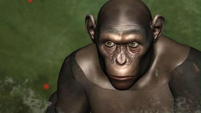 File:CG Chimp 2.jpg