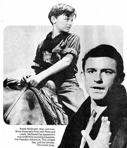 File:Roddy6.jpg