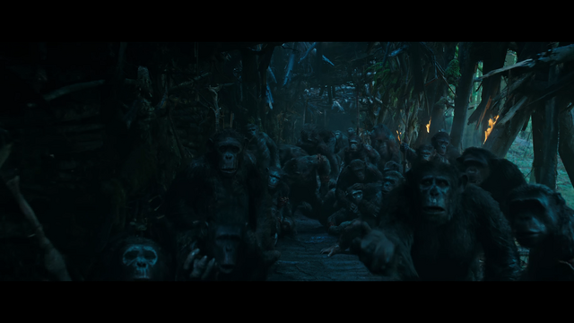 File:WPOTA Wounded Chimps.png