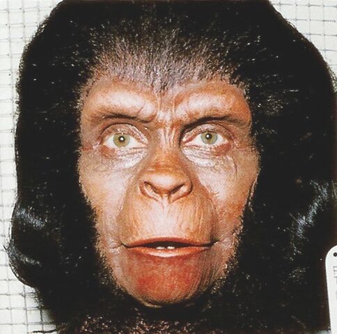 File:Costume Test21.jpg
