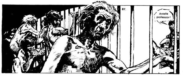 File:81singes19.jpg
