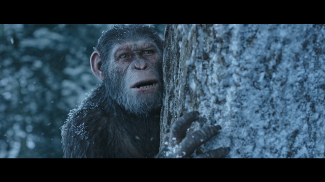 File:WPOTA Caesar 16.png
