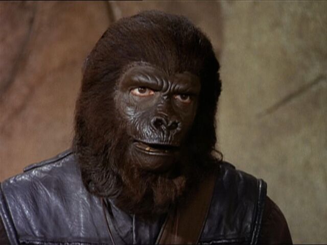 File:Police gorilla.jpg
