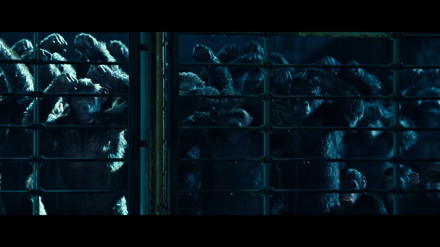 File:WPOTA Chimps 2.png