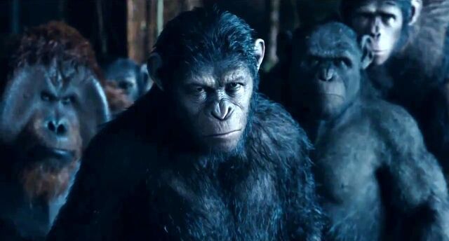 File:Dawn-Of-The-Planet-Of-The-Apes-10.jpg