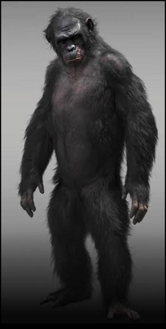 File:00Koba.png