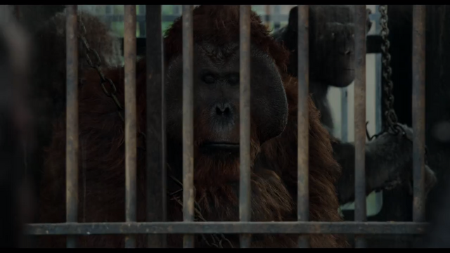 File:Maurice & Rocket chained.png