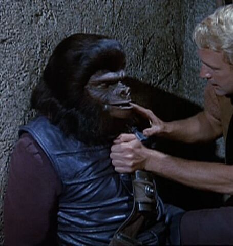 File:Gorilla worker.jpg