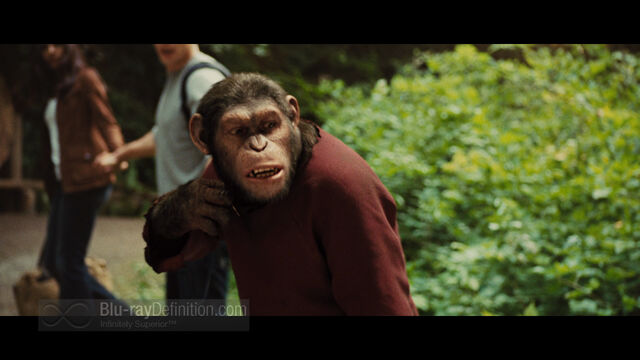 File:Rise of the Planet of the Apes09.jpg