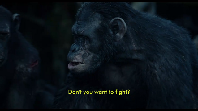File:Koba questions Rocket.png