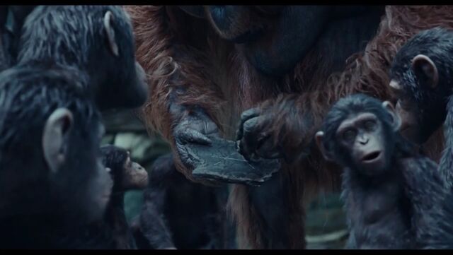 File:Maurice teaching young apes.jpeg