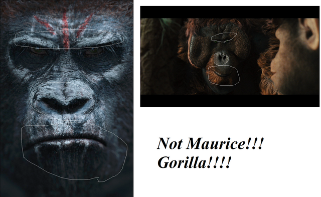 File:NOT MAURICE.png