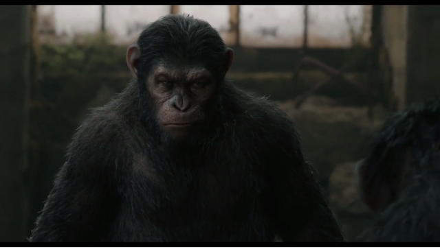 File:Caesar's anger against Koba.png