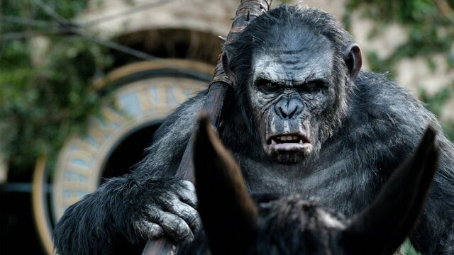 File:Koba-Dawn-of-the-Planet-of-the-Apes-WideWallpapersHD-2014-07-22-3.jpg
