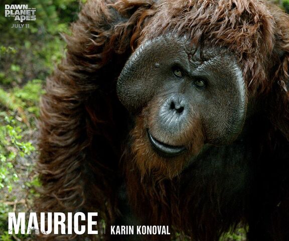 File:Maurice.jpg