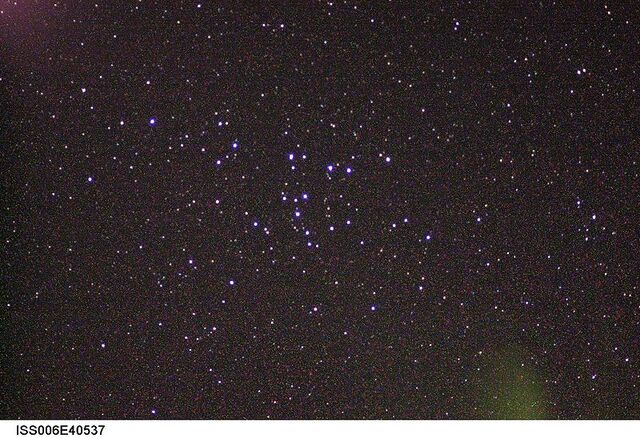 File:Coma Star Cluster.jpg