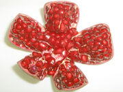 Pomegranate opened.jpg