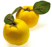 Gutui-2.jpg