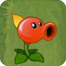 Flaming Pea