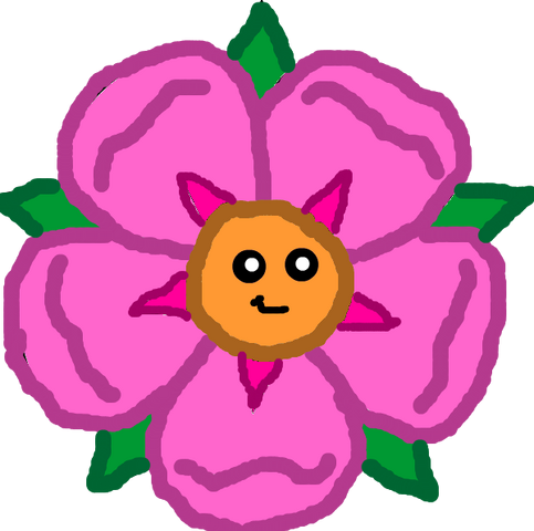 File:Starflower.png