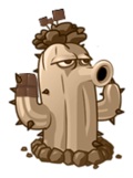 Cocoa
