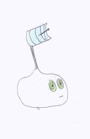 File:Scannonion.jpeg