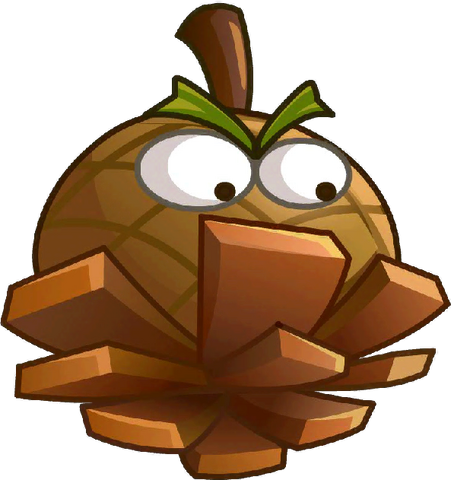 File:Hazelnut close up.png