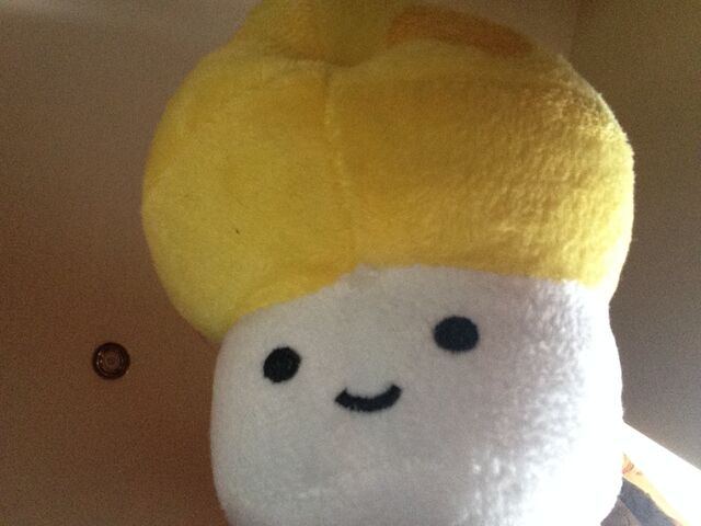 File:Sunnyshroom.jpeg