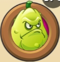 File:Squash.png