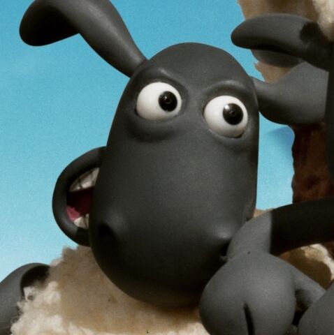 File:2016sheep.jpg