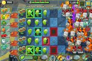 MaxsuninPlants2