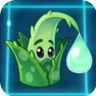 Aloe2
