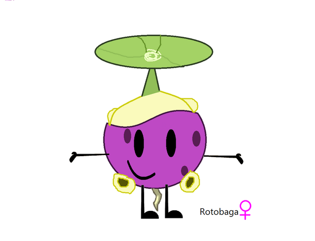 File:Rotobaga in BFDI Style.png