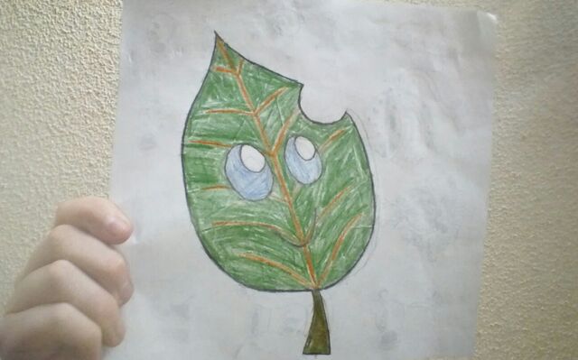 File:KINDLE CAMERA 1414756768000.jpg