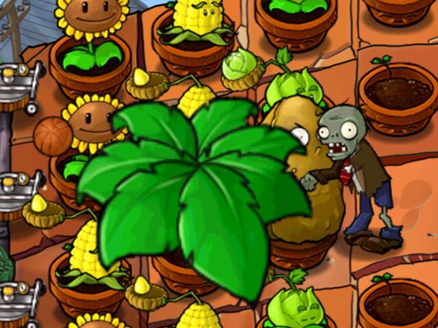 File:Umbrella leaf bouncing out.jpg