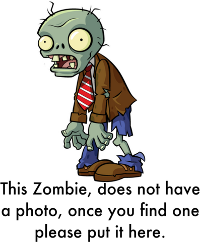 File:ZombieNoPhoto.png