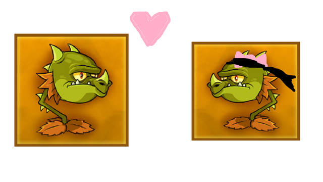 File:FEMALE.png