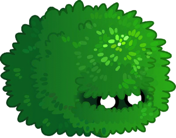 File:Bush close up.png
