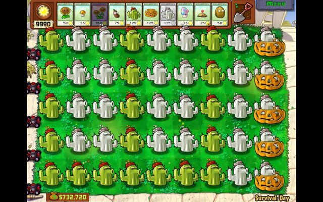 File:Cacti.jpg