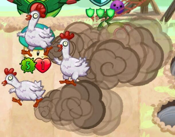 File:Close up of Chickening.jpeg