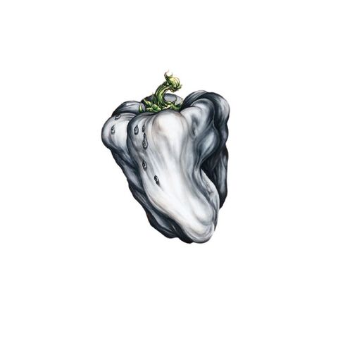 File:WhitePepper.jpg