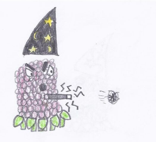 File:Wizard-berry shooting.jpeg