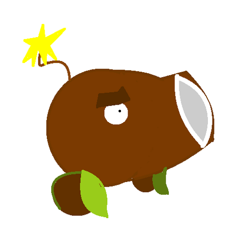File:CocoCannon.png