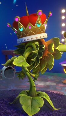 Everlasting Crown Face On Sunflower