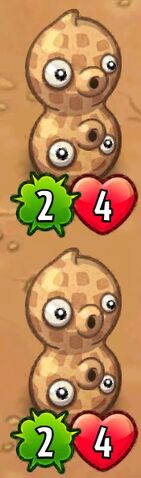 File:Double Pea-Nut.jpeg