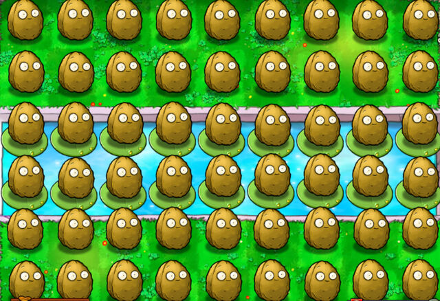 File:Nutz.jpg