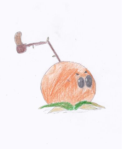 File:Mandarin-pult.jpeg
