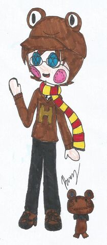 File:ChocoFrogLoopsy.jpg