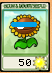 Attack sunflower